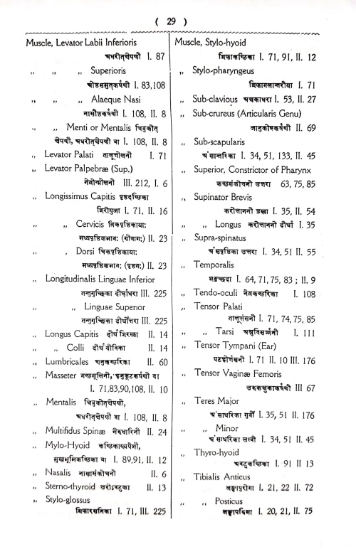 Anatomical Nomenclature